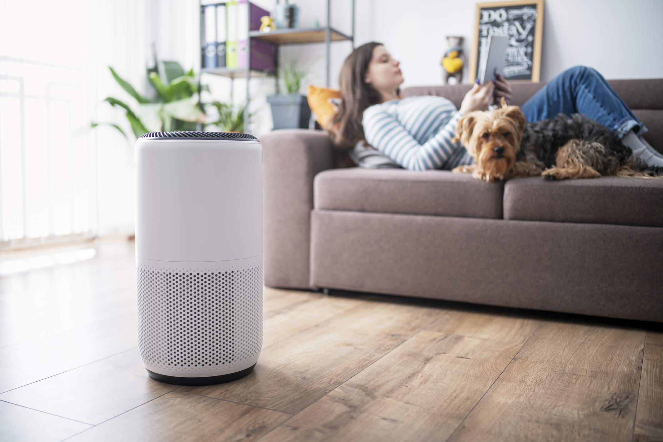 Three of the Best Home Air Purifiers for Cleaner, Healthier Air