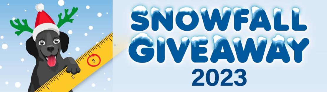 Snowfall Giveaway